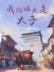 我的姐夫是太子封面