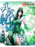 丹武乾坤封面