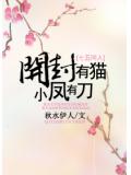 开封有猫,小凤有刀封面