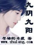 九阴九阳封面