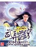 武弄苍穹封面