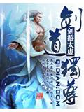 剑道独尊封面