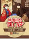 风流相公西门庆封面