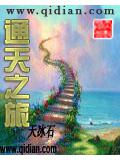 通天之旅封面