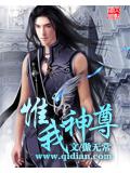 惟我神尊封面