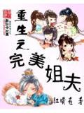 重生之完美姐夫封面