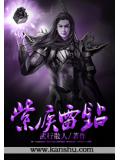 紫疾雷钻封面
