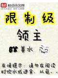 限制级领主封面