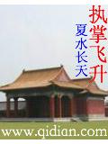执掌飞升封面