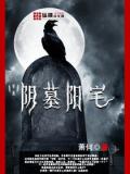 阴墓阳宅封面