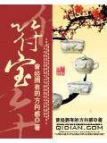 符宝封面