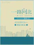 重生之一路向北封面