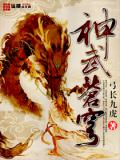 神武苍穹封面