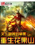 重生花果山封面