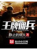 王牌佣兵封面