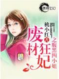 废材狂妃之腹黑四小姐封面