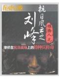 抗日风云之刘峰封面