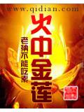 火中金莲封面