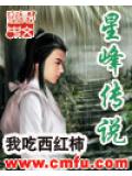 星峰传说封面