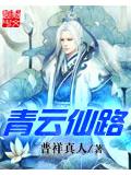 青云仙路封面