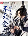 不灭金丹封面