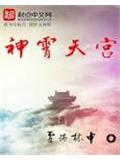 神霄天宫封面