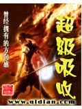 超级吸收封面