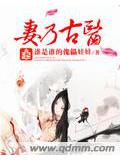 妻乃古医封面