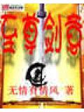 至尊剑意封面