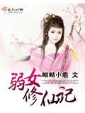弱女修仙记封面