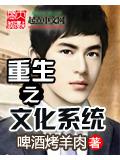 重生之文化系统封面