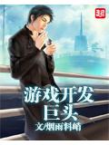 游戏开发巨头封面