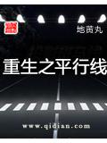重生之平行线封面