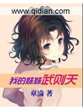 我的妹妹武则天封面