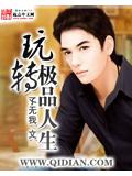 玩转极品人生封面
