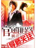 官途匪路桃花运封面