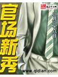 官场新秀封面