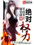 绝对权力封面