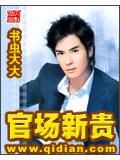 官场新贵封面