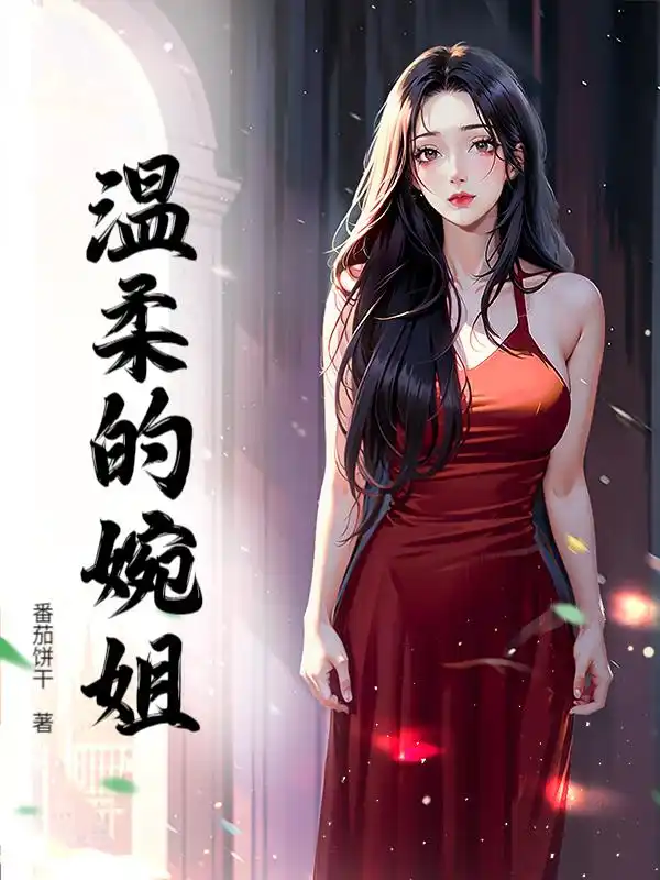 温柔的婉姐封面