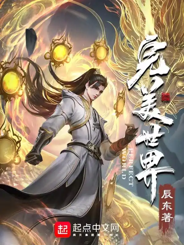 完美世界封面
