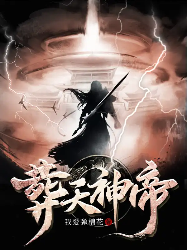 葬天神帝封面