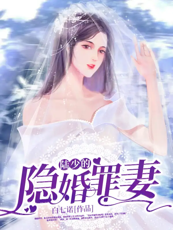 陆少的隐婚罪妻封面