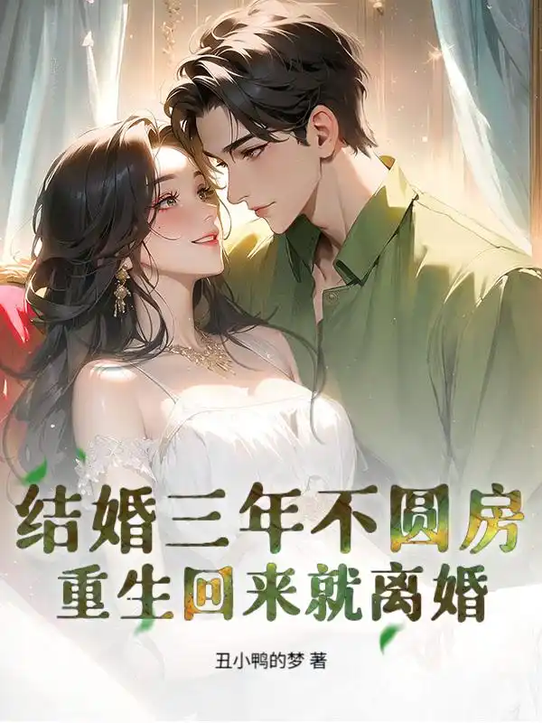 结婚三年不圆房，重生回来就离婚封面