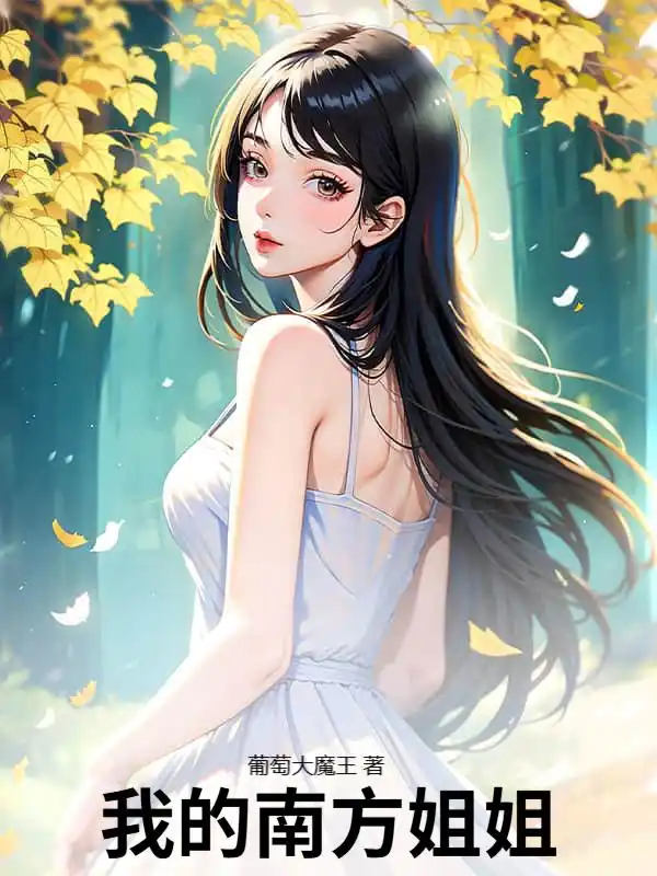 我的南方姐姐封面