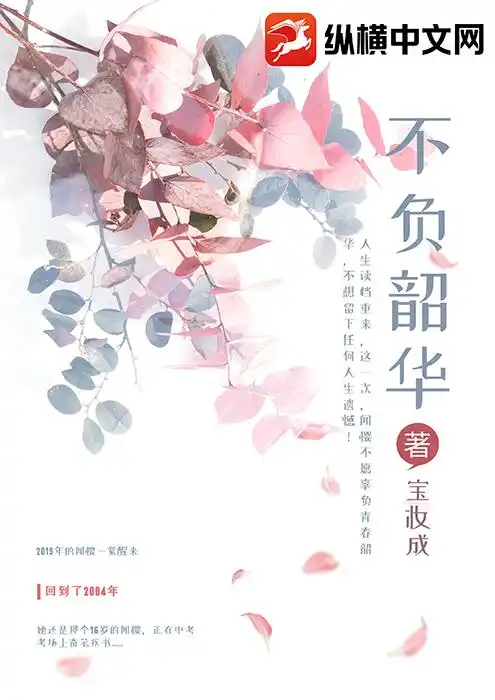 不负韶华封面