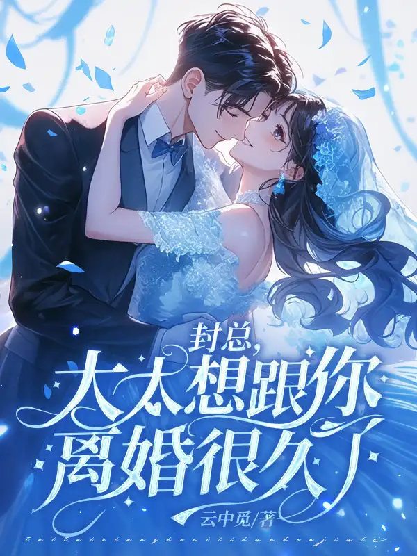 封总，太太想跟你离婚很久了封面