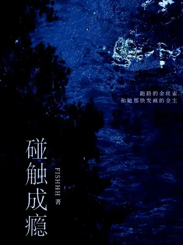 碰触成瘾封面