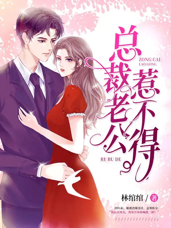 他来时星河璀璨封面