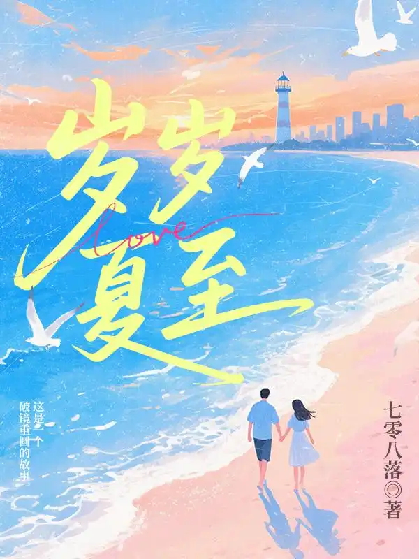 岁岁夏至封面